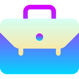 Bag  Icon