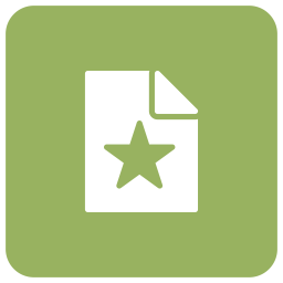 Bookmark Document  Icon