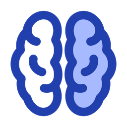 Brain anatomy  Icon