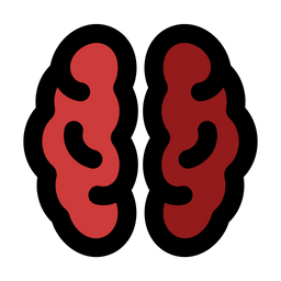 Brain anatomy  Icon