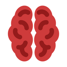 Anatomia do Cérebro  Ícone