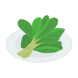 Broccoli  Icon