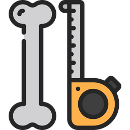 Bone Measurement  Icon