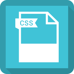 Css file  Icon