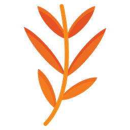 Branch Leaf  Icon