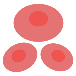 Blood Cells  Icon