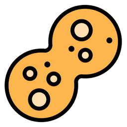 Mitosis  Icon