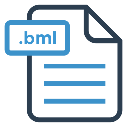 Bml file  Icon