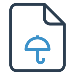 Insurance file  Icon