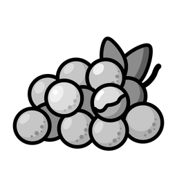 Longan  Icon