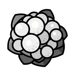 Cauliflower  Icon