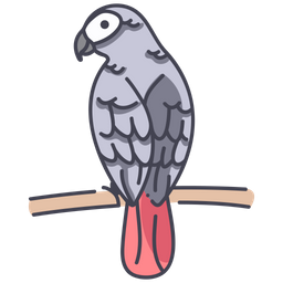 Africangrey  Icon