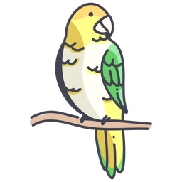 Caique  Icon