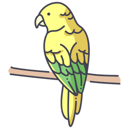 Conures  Icon