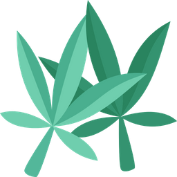 Cannabis Leaves  Icon