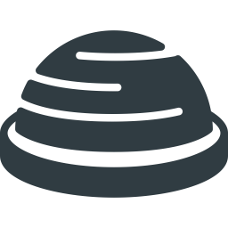 Bosu ball  Icon