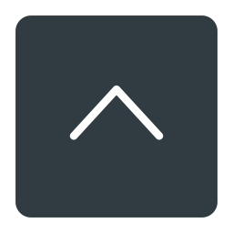 Arrow key  Icon