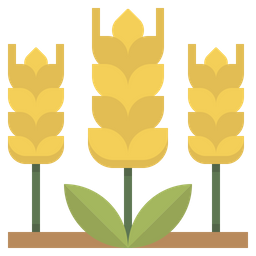 Barley  Icon