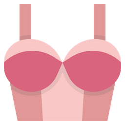 Brassiere  Icon