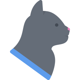 Cat  Icon