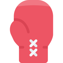 Boxing glove  Icon