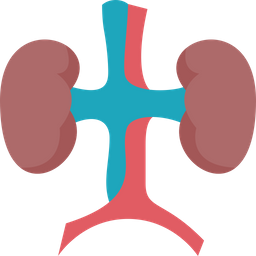 Kidneys  Icon