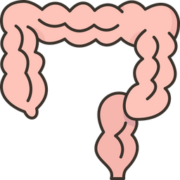 Intestino  Ícone