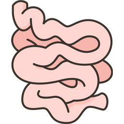 Intestino  Ícone