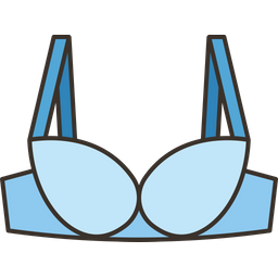 Bra  Icon