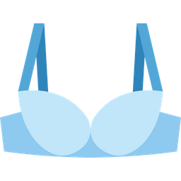 Bra  Icon