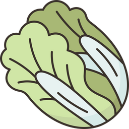 Cabbage  Icon