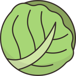 Cabbage  Icon