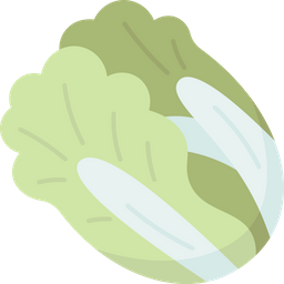 Cabbage  Icon