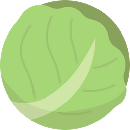 Cabbage  Icon