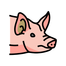 Pig Animal Wild Icon