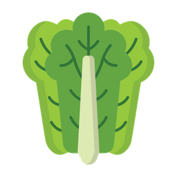 Lettuce  Icon