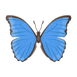 Butterfly  Icon