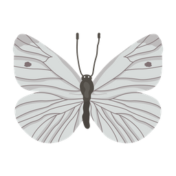 나비 곤충 생물 아이콘