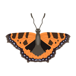 Butterfly  Icon