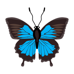 Butterfly  Icon