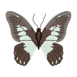 Butterfly  Icon