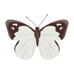 Butterfly  Icon