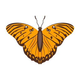 Butterfly  Icon