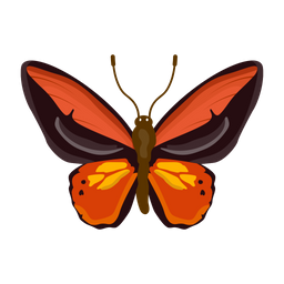 나비 곤충 생물 아이콘