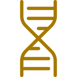 DNA structure  Icon