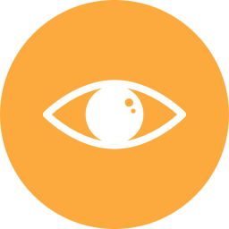 Eye  Icon