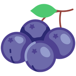 Blackcurrant  Icon