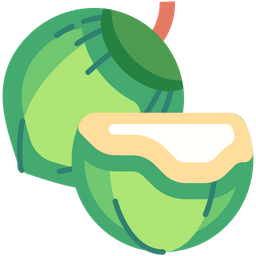 Coconut  Icon