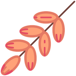 Dates  Icon