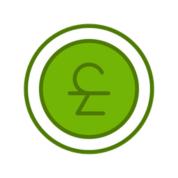 Coin  Icon